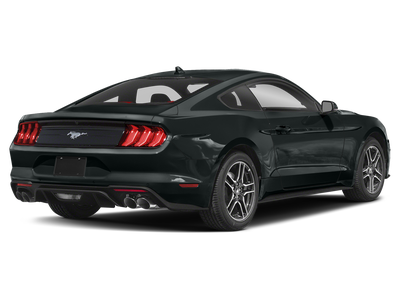 2022 Ford Mustang EcoBoost
