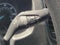 2024 Ford Transit-350 XL