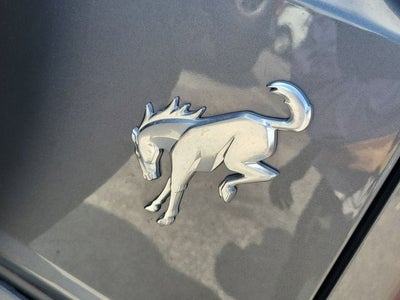 2023 Ford Bronco Everglades